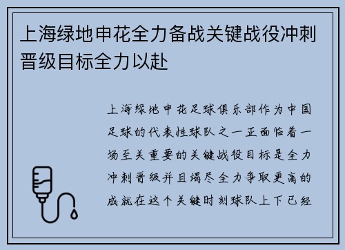 上海绿地申花全力备战关键战役冲刺晋级目标全力以赴