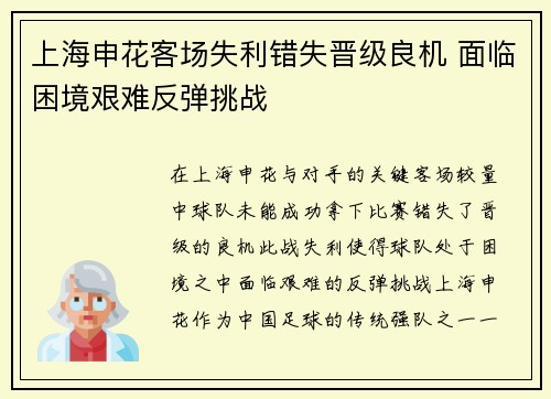 上海申花客场失利错失晋级良机 面临困境艰难反弹挑战