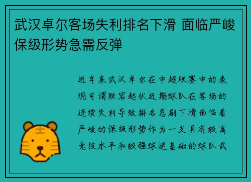 武汉卓尔客场失利排名下滑 面临严峻保级形势急需反弹