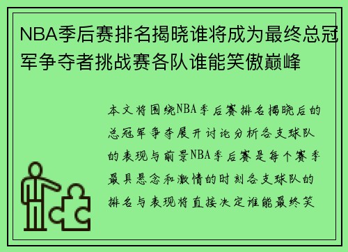 NBA季后赛排名揭晓谁将成为最终总冠军争夺者挑战赛各队谁能笑傲巅峰