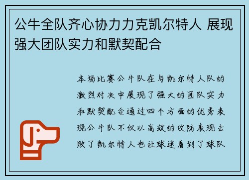 公牛全队齐心协力力克凯尔特人 展现强大团队实力和默契配合